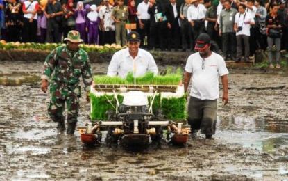 Klaten Salah Satu Raja Penghasil Beras di Indonesia