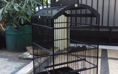 Sangkar Burung Knock Down Lare Angon Produk Desa Yang Patut Anda Coba